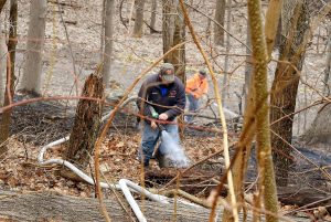 Brush fire in Dellslow area damages no homes
